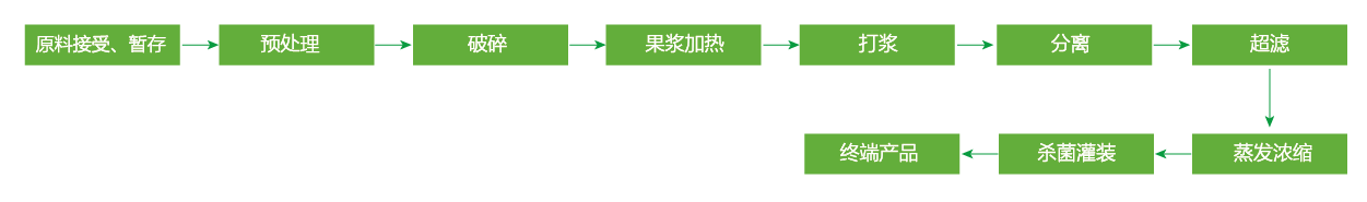 藍(lán)莓、草莓、桑葚濃縮汁